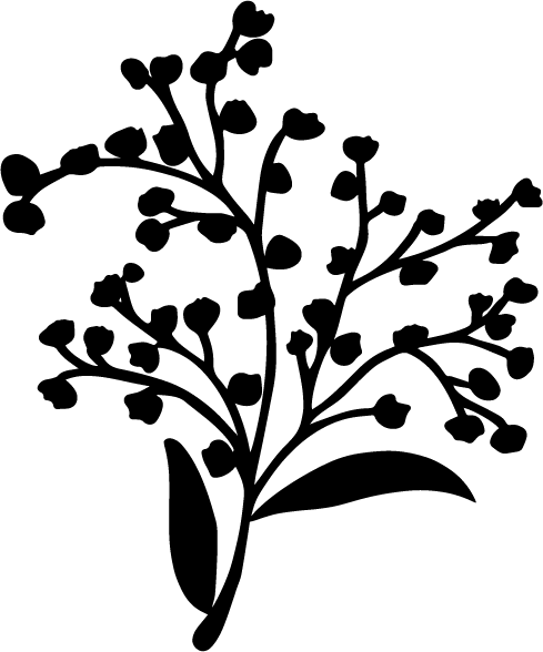 donna (1).png